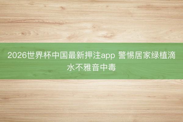 2026世界杯中国最新押注app 警惕居家绿植滴水不雅音中毒