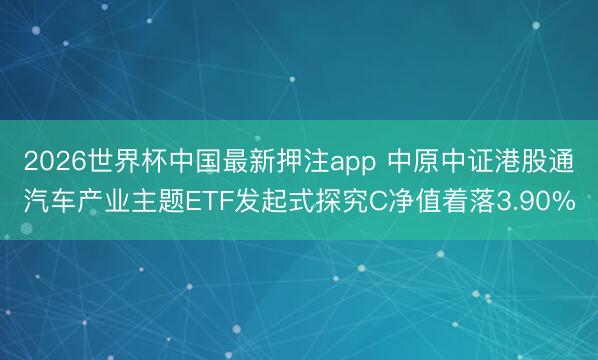 2026世界杯中国最新押注app 中原中证港股通汽车产业主题ETF发起式探究C净值着落3.90%