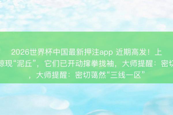 2026世界杯中国最新押注app 近期高发！上海市民家中深夜惊现“泥丘”，它们已开动撺拳拢袖，大师提醒：密切蔼然“三线一区”