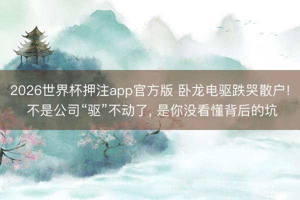 2026世界杯押注app官方版 卧龙电驱跌哭散户! 不是公司“驱”不动了， 是你没看懂背后的坑