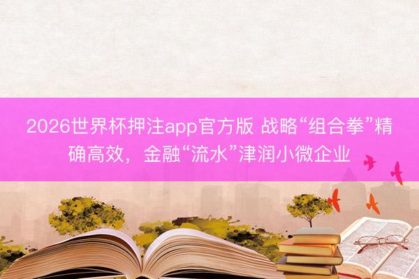 2026世界杯押注app官方版 战略“组合拳”精确高效，金融“流水”津润小微企业