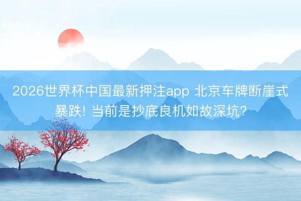 2026世界杯中国最新押注app 北京车牌断崖式暴跌! 当前是抄底良机如故深坑?