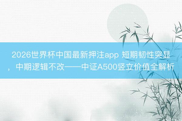 2026世界杯中国最新押注app 短期韧性突显，中期逻辑不改——中证A500竖立价值全解析