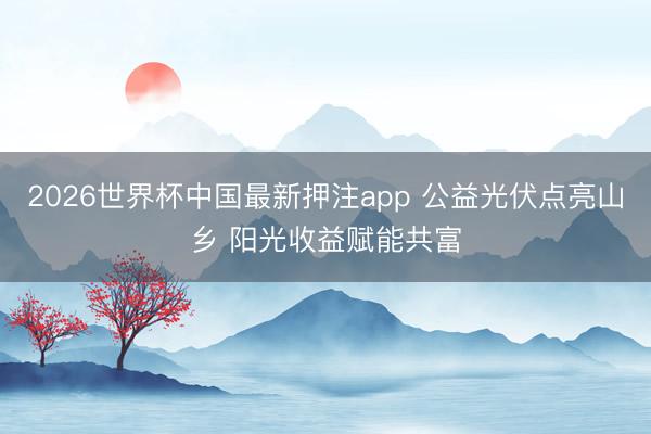 2026世界杯中国最新押注app 公益光伏点亮山乡 阳光收益赋能共富