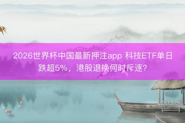 2026世界杯中国最新押注app 科技ETF单日跌超5%，港股退换何时斥逐？