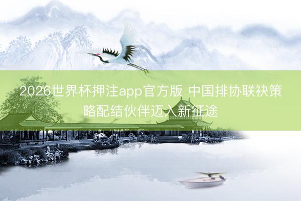 2026世界杯押注app官方版 中国排协联袂策略配结伙伴迈入新征途