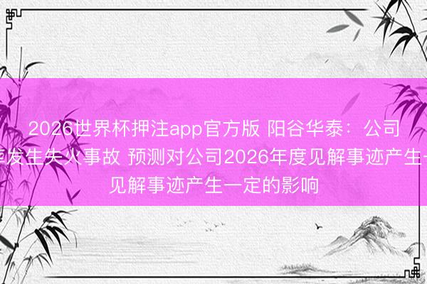 2026世界杯押注app官方版 阳谷华泰：公司原材料仓库发生失火事故 预测对公司2026年度见解事迹产生一定的影响