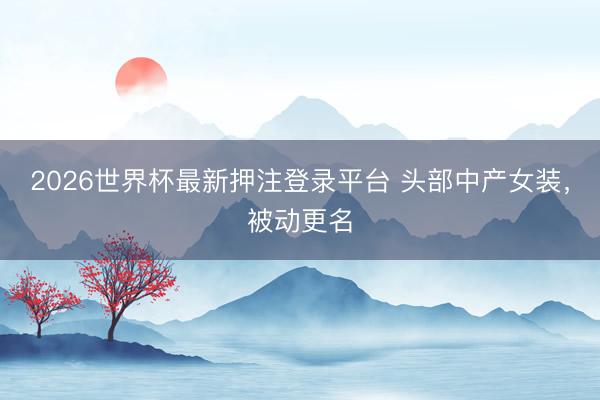 2026世界杯最新押注登录平台 头部中产女装,被动更名