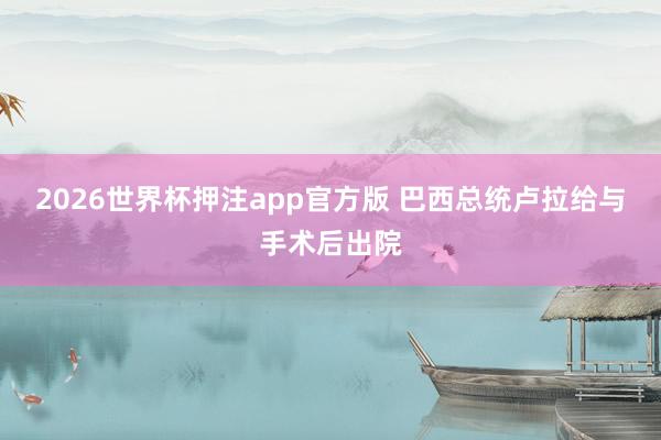 2026世界杯押注app官方版 巴西总统卢拉给与手术后出院